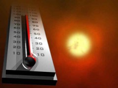 Жара до 40°С ожидается сегодня в восточной части Ростовской области