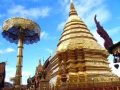 На севере Таиланда пчелы искусали около 80 монахов-буддистов