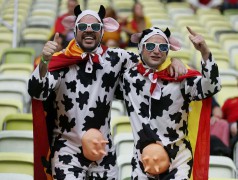 На финале Евро-2012 испанских фанатов будет вдвое больше, чем итальянских