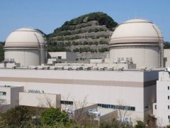 В Японии снова  запущен атомный реактор