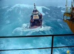 Промысловые суда ищут в Охотском море пропавшего ученого