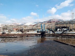 Огромный разлив нефти на берегу Черного моря экологи пытаются ликвидировать своими силами