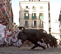 Около 40 человек ранили быки во время фестиваля в Испании