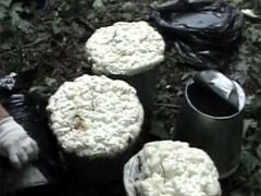Тайник с бомбами в 25 кг тротила обнаружен в Дагестане