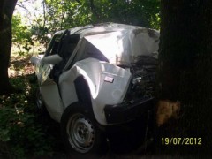 На Кубани автомобилист погиб, врезавшись в дерево