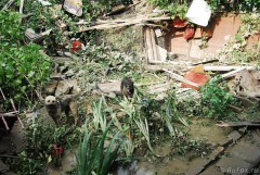 Ветслужба Кубани зачищает подтопленные районы от бродячих собак