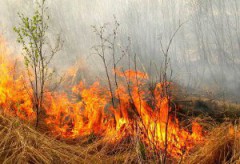 МЧС предупреждает о пожарах на Ставрополье