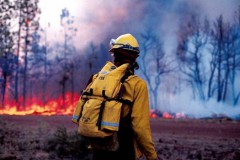На территории России действуют 175 лесных пожаров
