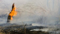 Около 70 пожаров действуют в Красноярском крае