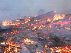 МЧС предупреждает о природных пожарах на Ставрополье