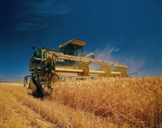 Ростовская область – лидер по результатам жатвы зерновых и зернобобовых культур