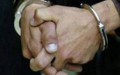 Уроженец Таджикистана задержан по подозрению в сексуальном насилии над 9-летней девочкой