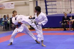 Анапа примет Всероссийские юношеские Игры боевых искусств
