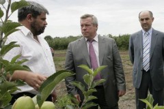 Донские сельхозтоваропроизводители получат субсидии на переоснащение мелиоративных систем 