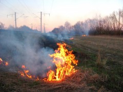 Нерадивые землепользователи Дона заплатят 175 тыс. рублей штрафа за пожары