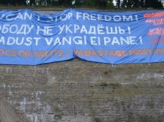 Жители эстонского города Нарва сорвали плакат в поддержку Pussy Riot