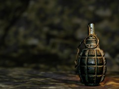 В Чечне боевую гранату забрали у местного жителя
