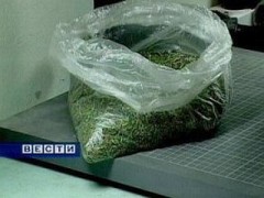 Килограмм марихуаны житель Ставрополья выдавал за петрушку