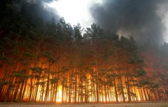 С 3 сентября в пяти регионах России ожидается высокая пожароопасность