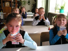 Программа «Школьное молоко» заработает на Кубани