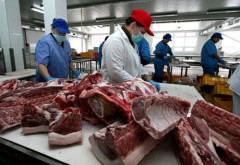 10 уголовных дел возбуждено на Ставрополье по фактам продажи зараженного мяса