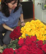 Предпринимательница из Сочи пыталась вывезти в Норильск партию зараженных цветов