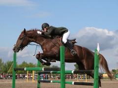 В Динском районе Кубани открыли конно-спортивную школу