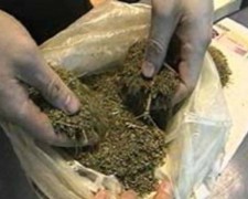 В Гулькевичском районе Кубани наркополицейские задержали сбытчика марихуаны