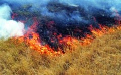 Ближайшие три дня на Кубани пожароопасно