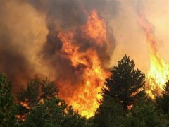 Лесной пожар угрожает поселку Архыз