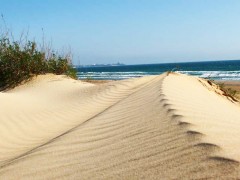Пути сохранения пляжей Анапы обсудили на Общественном экосовете