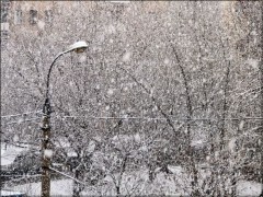В Ленинградской области из-за снегопада остались без электричества около 4 тыс. человек