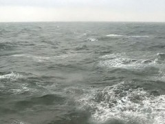 В Азовском море затонул буксир
