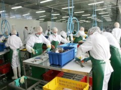 Более 38 млн. рублей выделят рыбохозяйственным предприятиям Кубани в текущем году