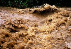Угроза подъема уровня воды до опасных отметок сохраняется на 28 сочинских реках