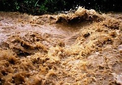 Подъем уровня рек в Сочи может повториться