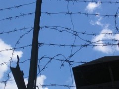 Следователи выясняют причины драки заключенных в колонии Камчатского края