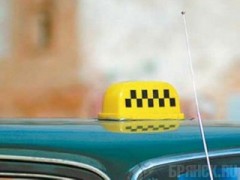 На Кубани двое молодых людей ограбили таксиста и привязали его к дереву ремнями безопасности