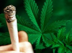 В Грузии хотят легализовать марихуану