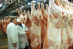 Российские эксперты нашли опасные микроорганизмы в мясных продуктах из Германии