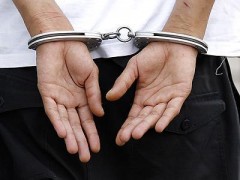 Ростовские сотрудники ППСП задержали несовершеннолетнего по подозрению в грабеже