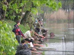 Донские полицейские проведут соревнования по спортивной рыбалке