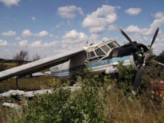 Пилота разбившегося в Ростовской области самолета допрашивают следователи