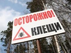 В Ростовской области продолжат противоклещевую обработку животных