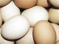 Французские птицеводы в знак протеста разбили 100 тысяч яиц у здания налоговой службы