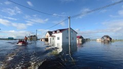 Ущерб аграриям от паводка на Дальнем Востоке составил 8,6 млрд рублей