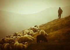 Спасатели на вертолете эвакуировали пастуха с подножья горы Фишт