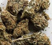 Донские полицейские при обыске изъяли 6 кг марихуаны