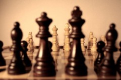 Чемпионат Краснодарского края по быстрым шахматам соберет более 150 кубанских спортсменов