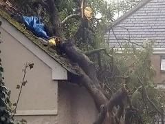Поваленное «Святым Иудой» дерево убило 17-летнюю британку прямо в ее спальне